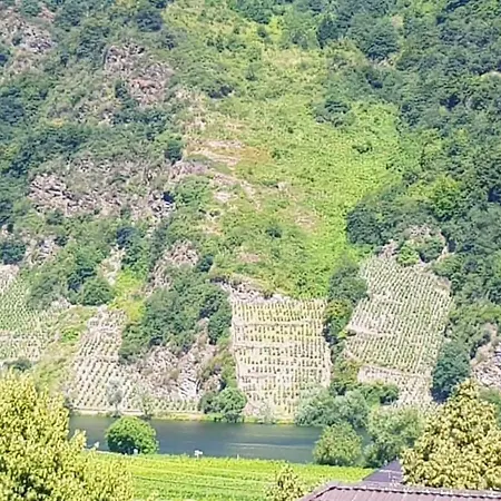 Seibel Piesport