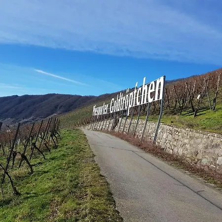 Nyaraló Seibel